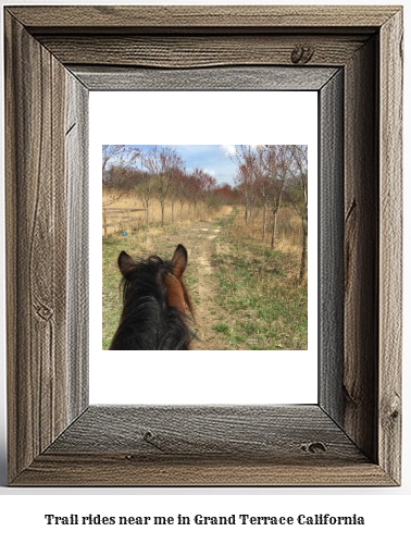 trail rides near me in Grand Terrace, California